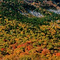 Fall As Far As I Can See