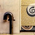 Nautilus